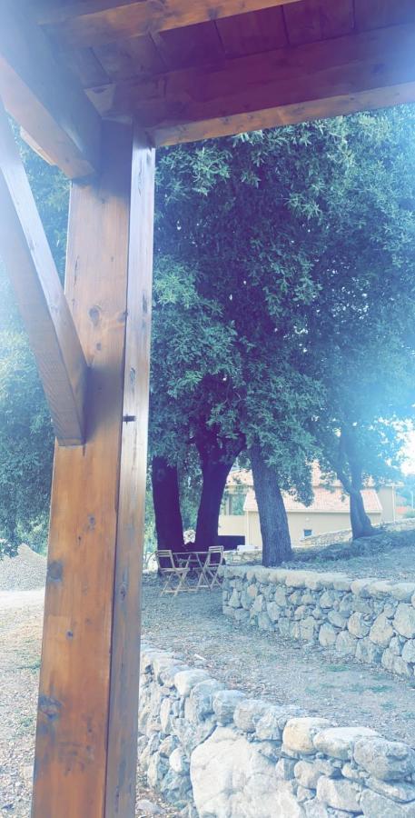 Affittacamere La Bergerie Du Chene Omessa Esterno foto