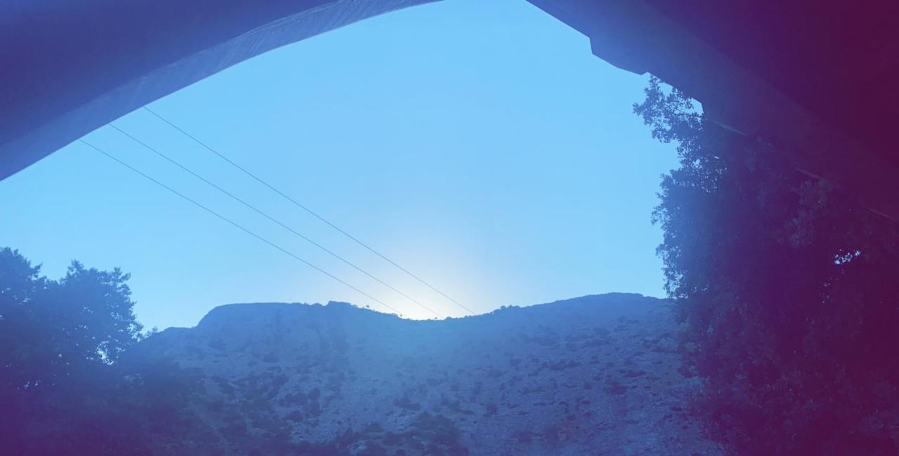 Affittacamere La Bergerie Du Chene Omessa Esterno foto