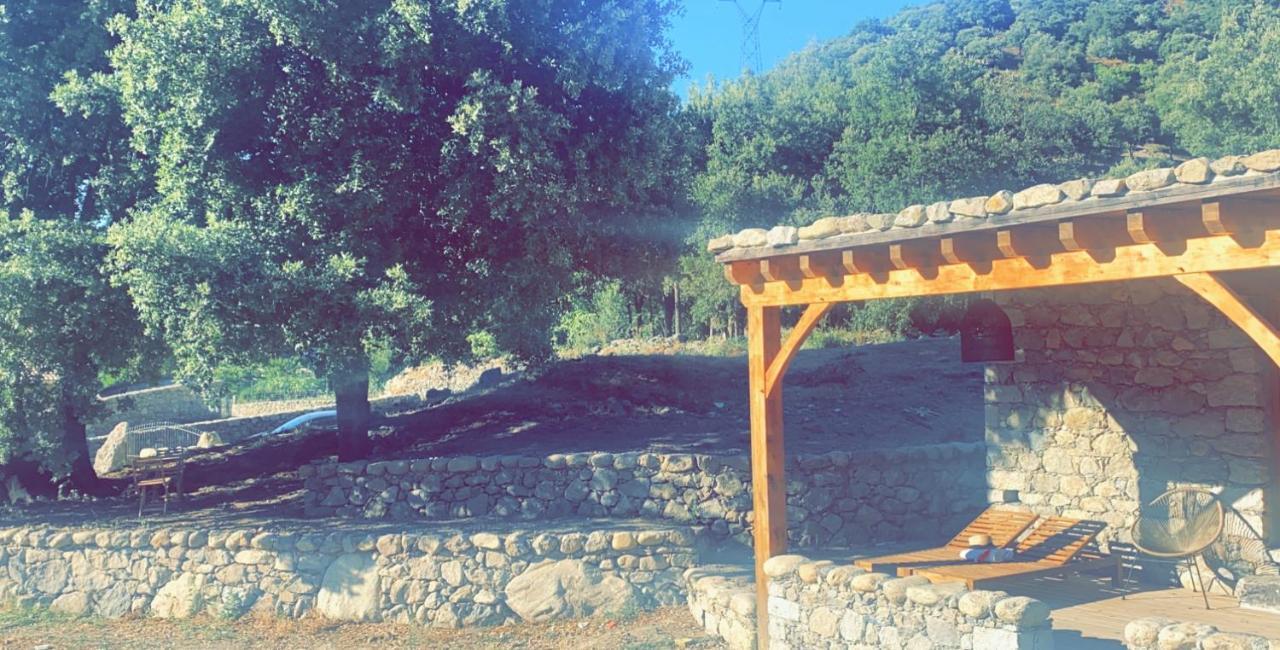 Affittacamere La Bergerie Du Chene Omessa Esterno foto