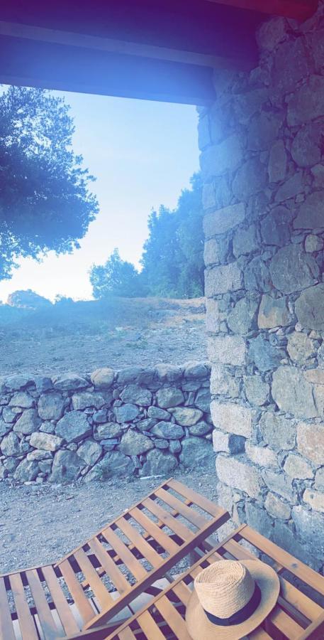 Affittacamere La Bergerie Du Chene Omessa Esterno foto