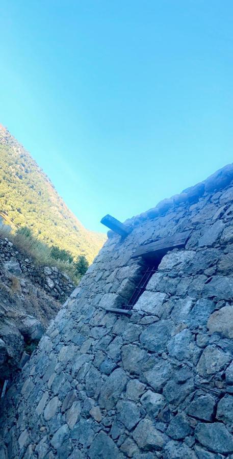 Affittacamere La Bergerie Du Chene Omessa Esterno foto