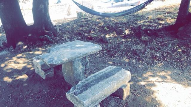 Affittacamere La Bergerie Du Chene Omessa Esterno foto