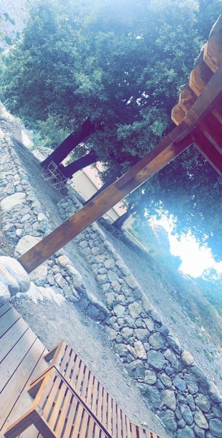 Affittacamere La Bergerie Du Chene Omessa Esterno foto