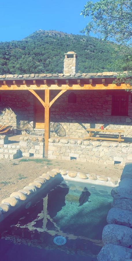 Affittacamere La Bergerie Du Chene Omessa Esterno foto